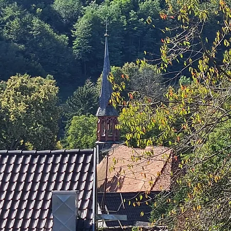 In Apartment Adelsheim